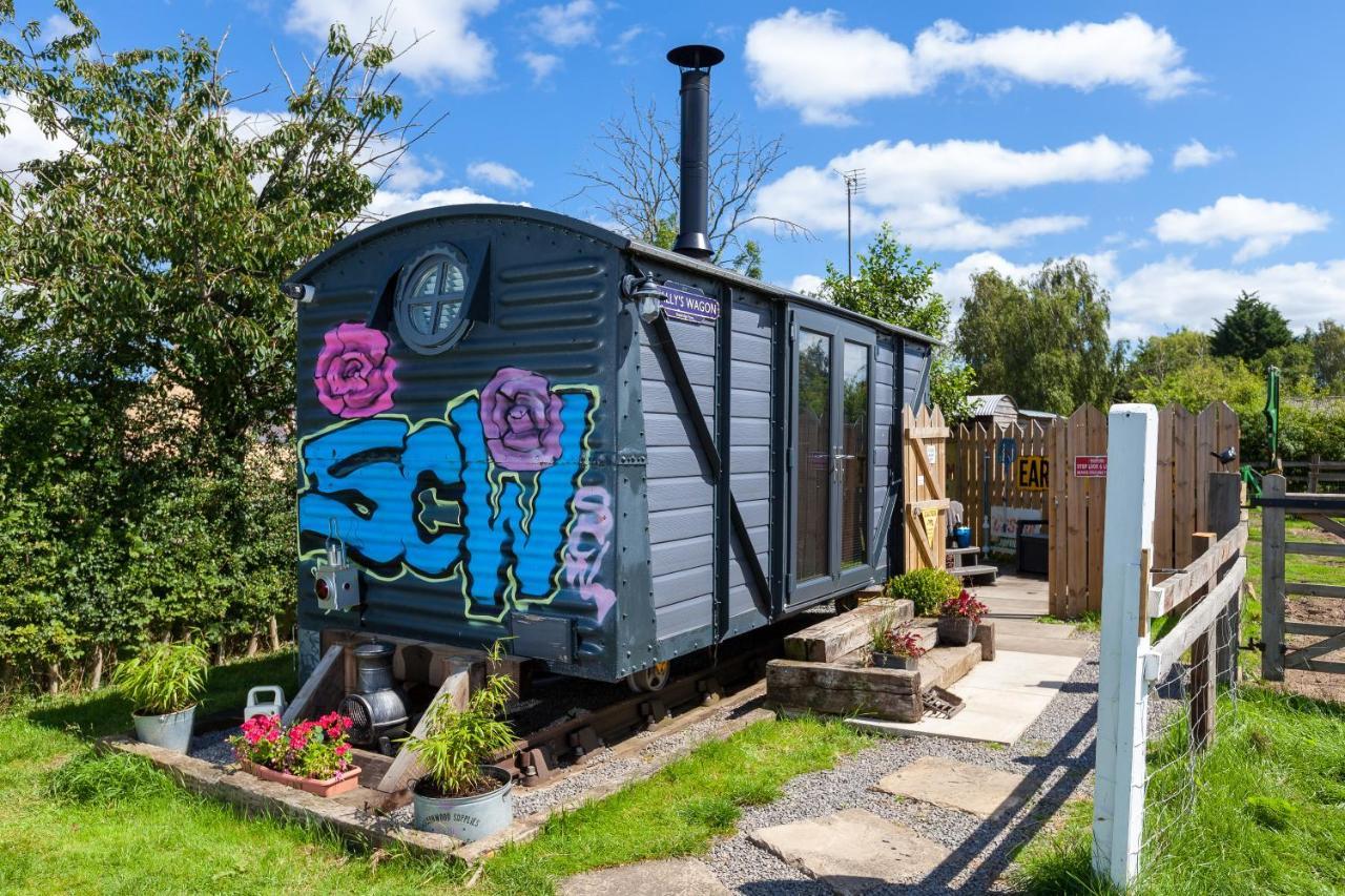 Skipbridge Farm Glamping Bauernhof Green Hammerton